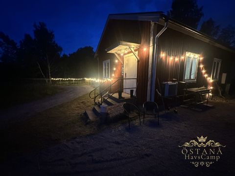 Bilder från Havscampen