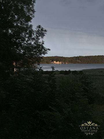 Bilder från Havscampen